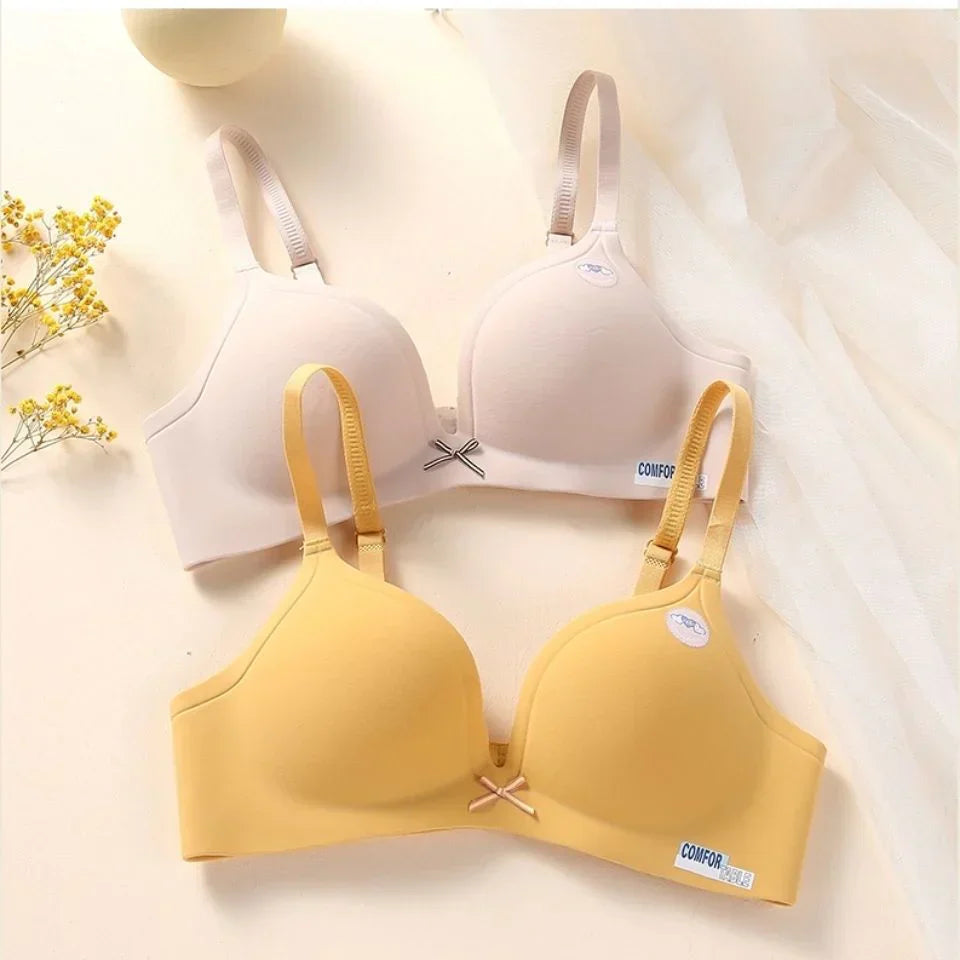 Seamless T-Shirt Pushup Bra