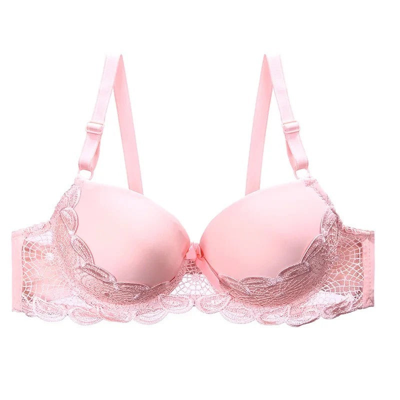 Basic Lace Wired Pushup Bra